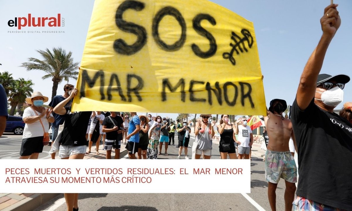 Peces muertos y vertidos residuales: El Mar Men...