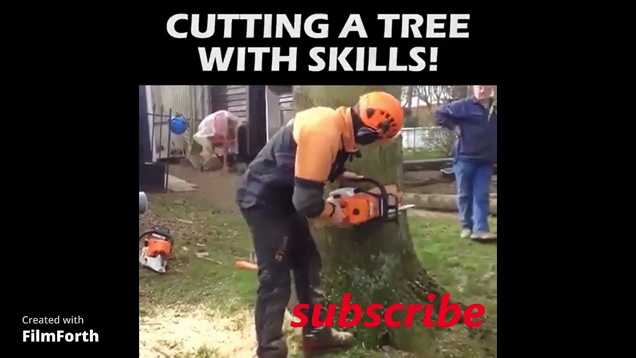 CUTTING A TREE WITH SKILLS