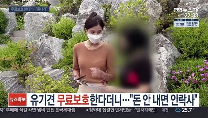 유기견 무료 보호한다더니…"돈 안 내면 안락사"