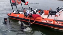 Un bébé dauphin coincé dans un filet sauvé par des garde-côtes