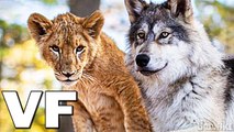 LE LOUP ET LE LION Bande Annonce VF