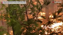 Incêndio de French Camp incontrolável no nordeste da Califórnia