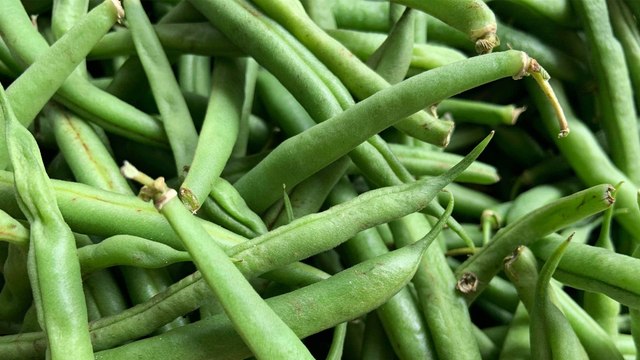 8 Propiedades y Beneficios de las Judías Verdes ✅