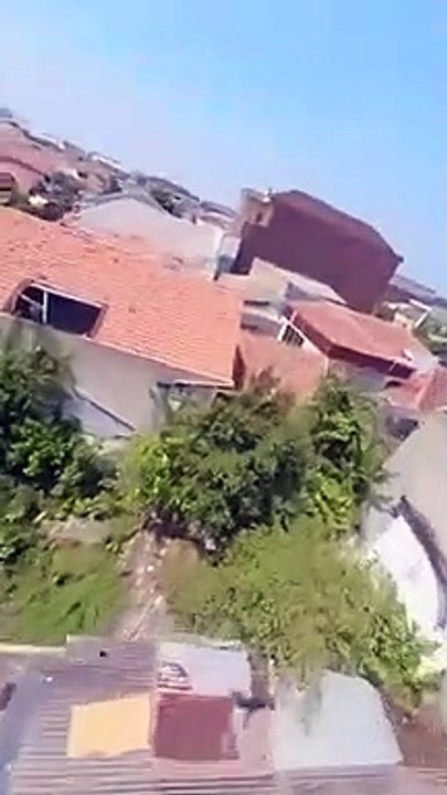 Vous n'avez pas besoin d'un drone dji lorsque vous avez un oiseau