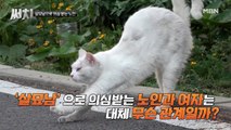 그 많은 고양이는 누가 죽였나?