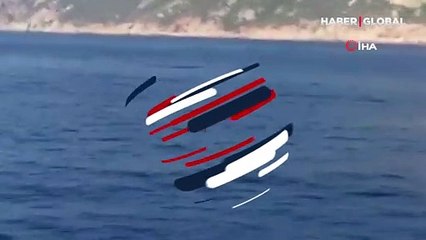 Tur teknesine eşlik eden yunuslar görsel şölen sundu