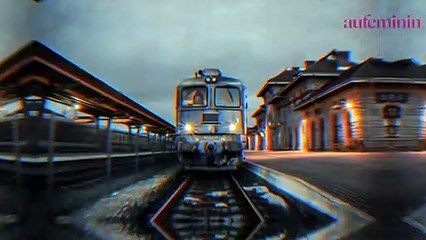 Son chien meurt dans un train non-climatisé, la SNCF lui rembourse 70€