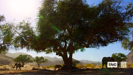 Edén: paraísos remotos (Eden Untamed Planet) Trailer