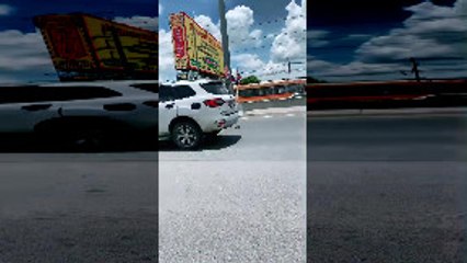 Kitten Saved From Busy Road