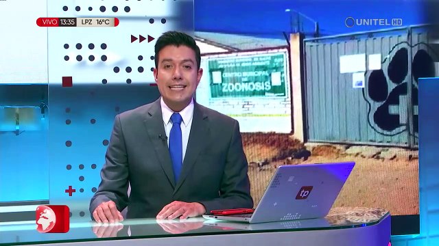 Cóndores intoxicados que fueron rescatados en Yamparáez están cerca de volver a su hábitat