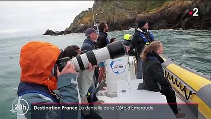 Bretagne : les gardiens des richesses de la côte d'émeraude