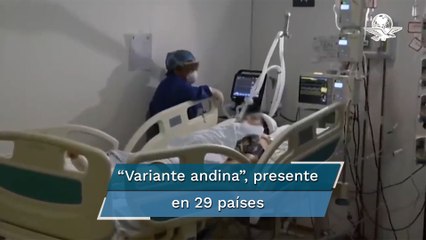 Lo que se sabe de Lambda, variante de Covid-19 que circula en Sudamérica