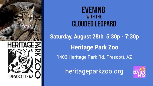 It’s Evening with the Clouded Leopards at Heritage Park Zoological Sanctuary