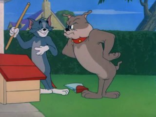 Tom y Jerry en Español Completa, Casa de Perro “The Dog House”