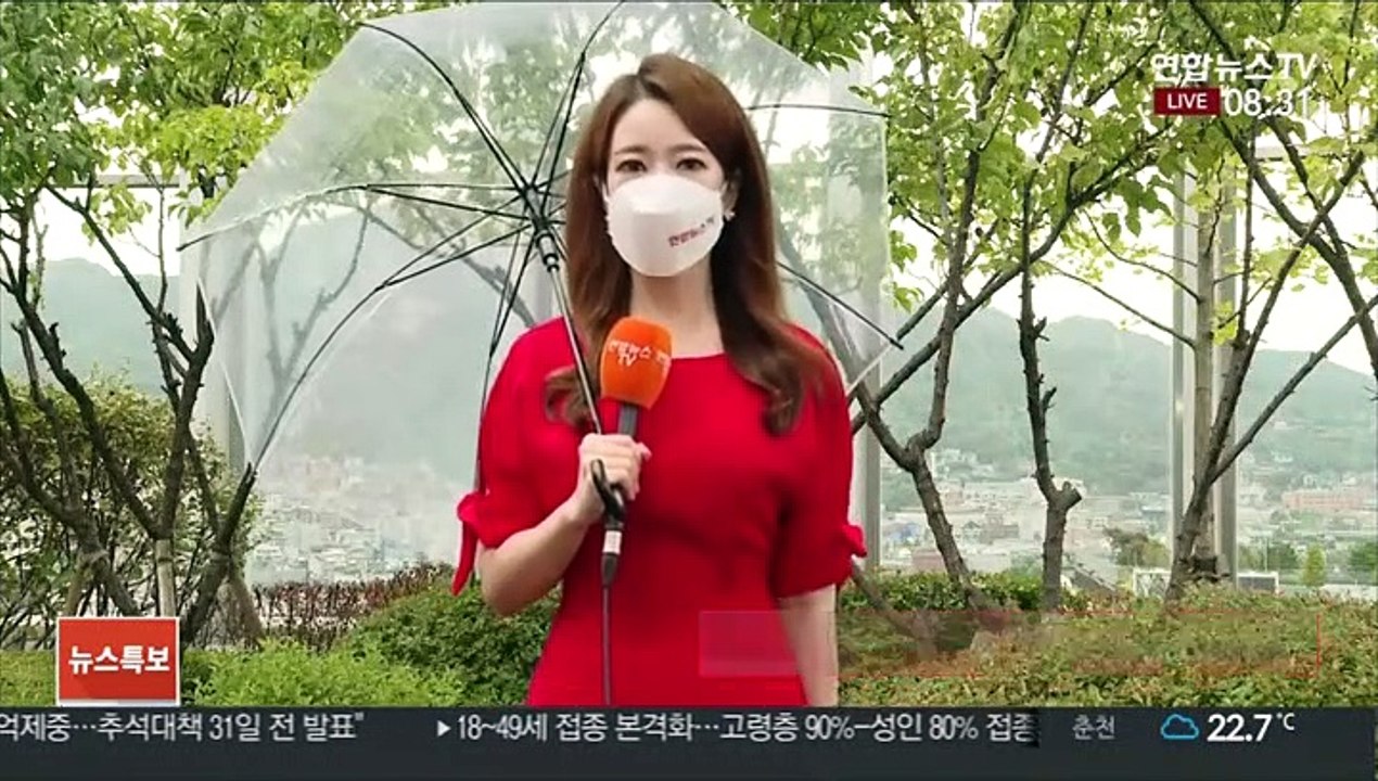 [날씨] 출근길 곳곳 비, 호남 호우주의보…더위는 주춤