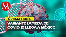 Detectan primer caso de variante Lambda de coronavirus en Colima