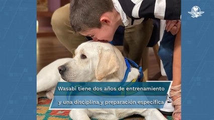 Así ayuda el perro Wasabi a Iñaki, hijo de Rafa Sarmiento y "La Choco"