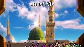 Main Lajpalan De Lar Lagian | Ghumbad e Khazra | Ghumbad e Khizra | Syed Akhtar Hussain Naqvi Official | New Naat 2021 | Naat  | Maulana Abudl Satar Niazi