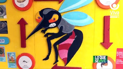 Minsa organiza actividades en el Día de la Lucha contra el Dengue