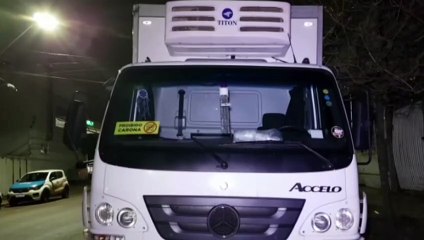 Galho de árvore e poste caem e interditam trecho da Rua Nereu Ramos, no Centro