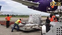 Yon avyon kago konpayi FEDEX debake plizyè kagezon materyèl medikal pou plizyè enstitisyon sanitè.