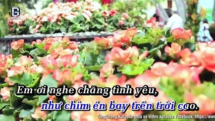 Loi To Tinh Mua Xuan - Quang Dung