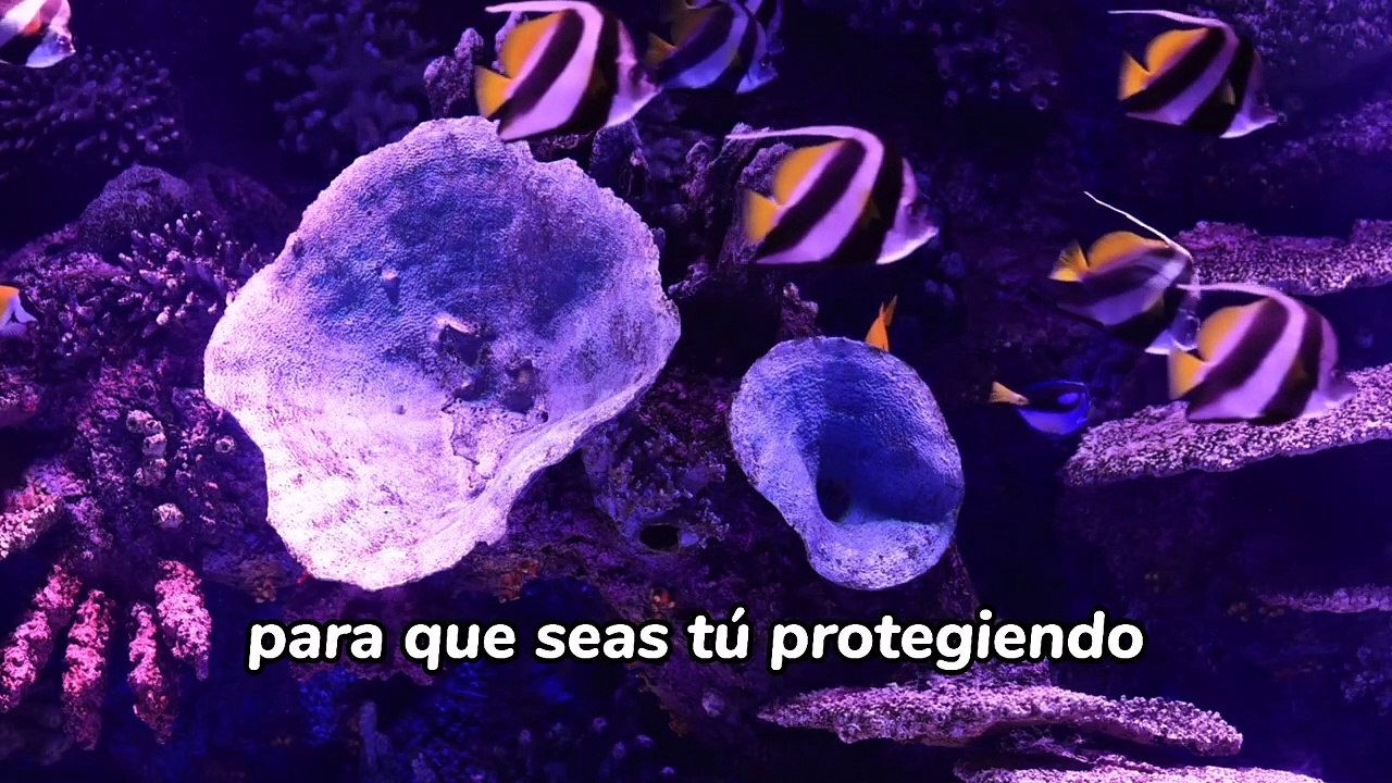 ORACION DE LA MAÑANA DEL DIA DE HOY Viernes 27 de Agosto de 2021- Oracion SEÑOR TE NECESITO