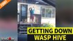 'Family Man Bravely Knocks a Wasp Hive Down'