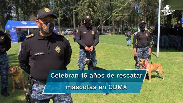 Policía de la CDMX busca hogar para mascotas rescatadas