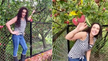 Preity Zinta Gives A Tour Of Her Apple Farm In Shimla