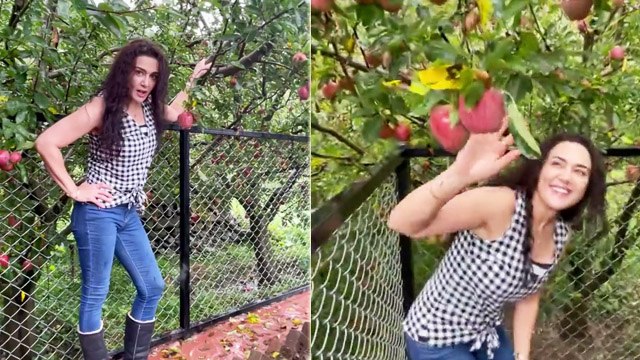 Preity Zinta Gives A Tour Of Her Apple Farm In Shimla