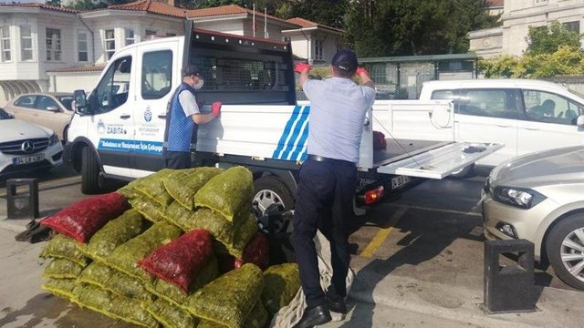 İstanbul’da kaçak 1 ton midye ele geçirildi