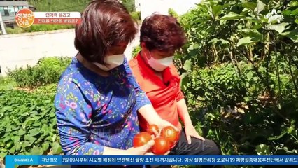 면역력 올리는 꿀팁! 텃밭 가꾸기?!