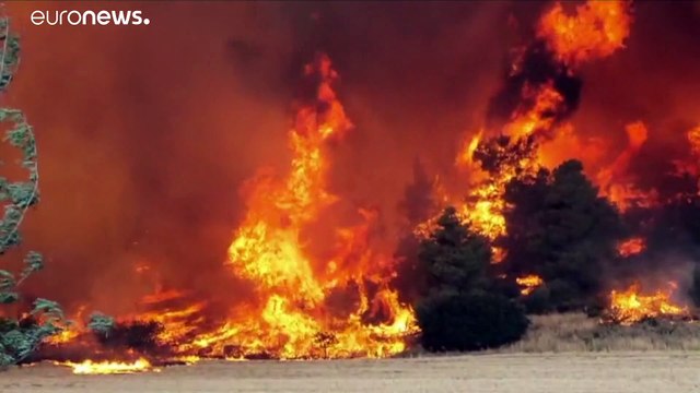 Bombeiros gregos e europeus lado a lado no combate aos incêndios