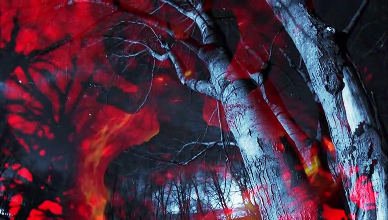 The Devil's Tree