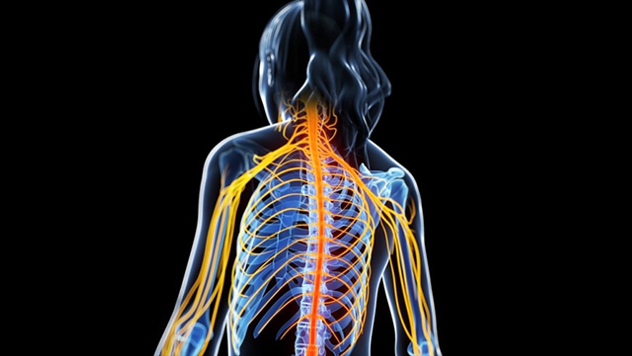 Nerve को खराब कर Damage करती है ये आदतें,जानिए नसों को Healthy रखने की आदते । Boldsky