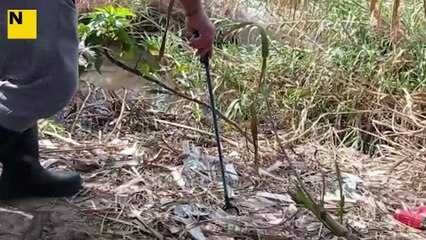 Tota aquesta porqueria ha sortit de la llera del Besòs