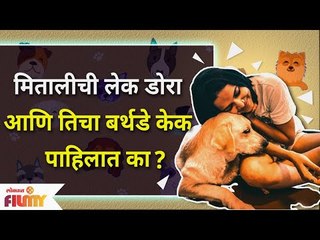 Mitali Mayekar Pet Dog Dora Birthday Cake | मितालीची लेक डोरा आणि तिचा बर्थडे केक पाहिलात का?