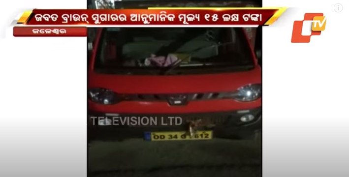 Odisha's Balasore Turns 'Brown Sugar Hub' Contraband Worth Rs 15 Lakh Seized, 2 Arrested