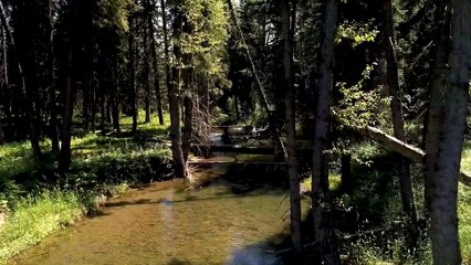 22221 Old Mill Road | Bigfork, Montana