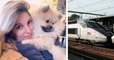 Son chien est mort de chaud dans un train de la SNCF, elle se voit offrir... un bon d'achat