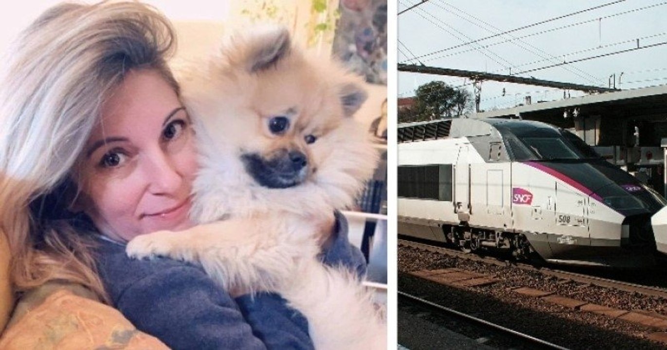 Son chien est mort de chaud dans un train de la SNCF, elle se voit offrir... un bon d'achat