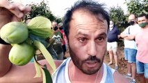 Los agricultores valencianos, hartos de que se les tome el pelo, publican un vídeo que tiene que convertirse en viral