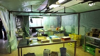 Serie "El inmortal", protagonizada por Álex García, pronto estreno en Movistar +.