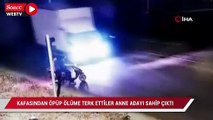 Kafasından öpüp ölüme terk ettiler anne adayı sahip çıktı