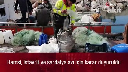 Hamsi, istavrit ve sardalya avı için karar duyuruldu