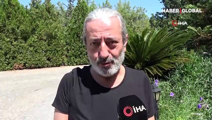 Caretta sahilinde 5 yıldızlı katliam! Onlarca yavru sıkışarak öldü