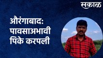 Aurangabad :औरंगाबाद: पावसाअभावी पिके करपली; पंचनामा करण्याची शेतकऱ्यांची मागणी | Sakal Media |