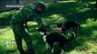 Soldados rescatan a perritos de los alrededores del Aeropuerto Felipe Ángeles