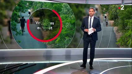 Vacances en forêt : la Vélodyssée, la plus longue piste de vélo française